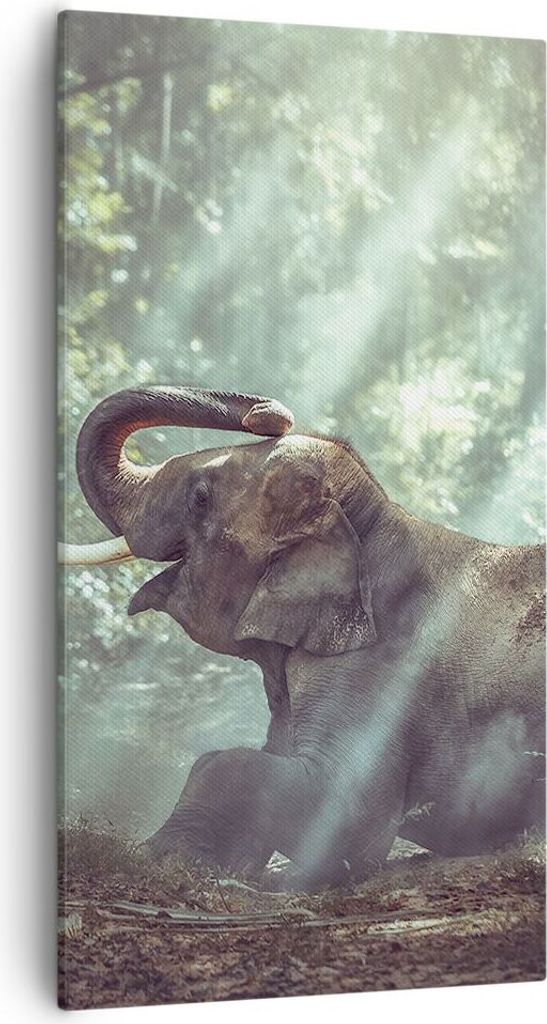 Bild auf Leinwand - Leinwandbild - Elefant Dschungel Stoßzahn - 55x100cm - Wand Bild - Wanddeko - Leinwanddruck - Bilder - Kunstdruck - Wanddekora...