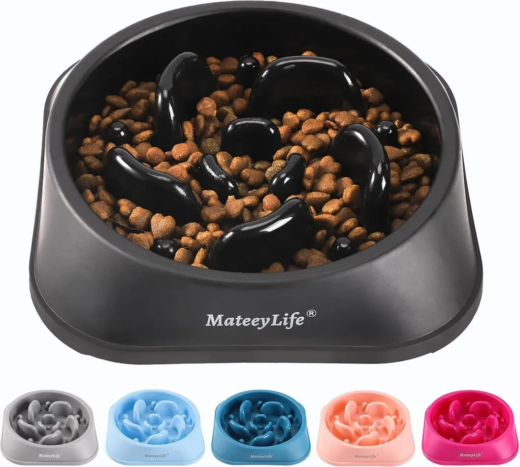Gamelle anti-glouton pour chien avec station d'alimentation saine noire