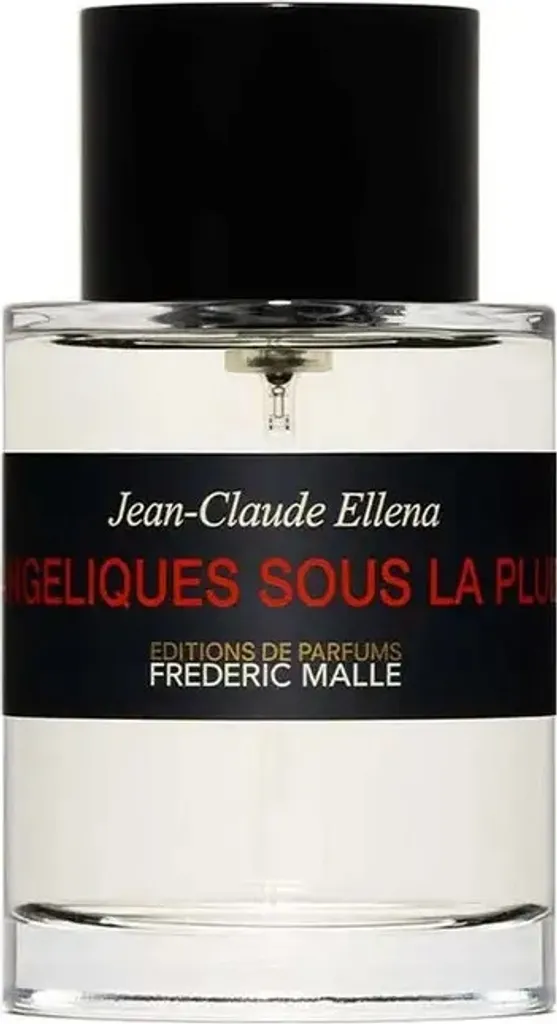 Frédéric Malle Angéliques Sous La Pluie EDT 100 ml aux notes boisées