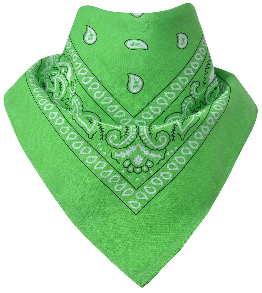 Bandana Paisley Gruen Produktbild 