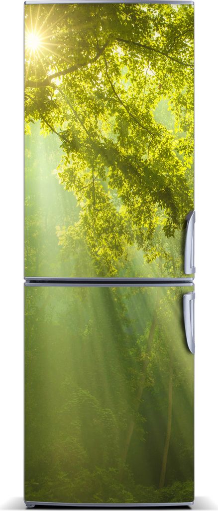 Tulup Kühlschrankdekoration - Magnetmatte - 70 cm x 190 cm - Magnet auf dem Kühlschrank - Sun Im Wald