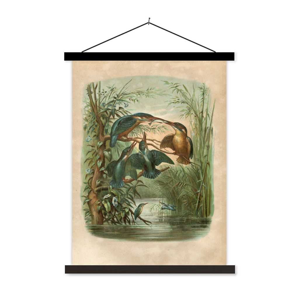 MuchoWow Textilposter Antiker Vogeldruck Eisvogel 40x53 cm mit schwarzem Rahmen - Abbildung