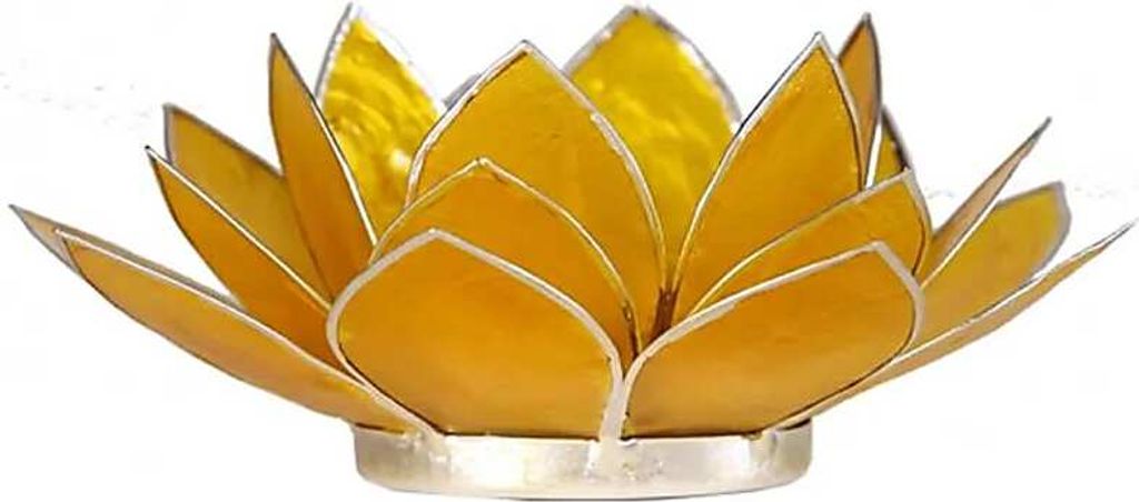 Räucher Set Fiore d'Oriente Chakra Räucherstäbchen Probierset -- 42 g + Lotus Te