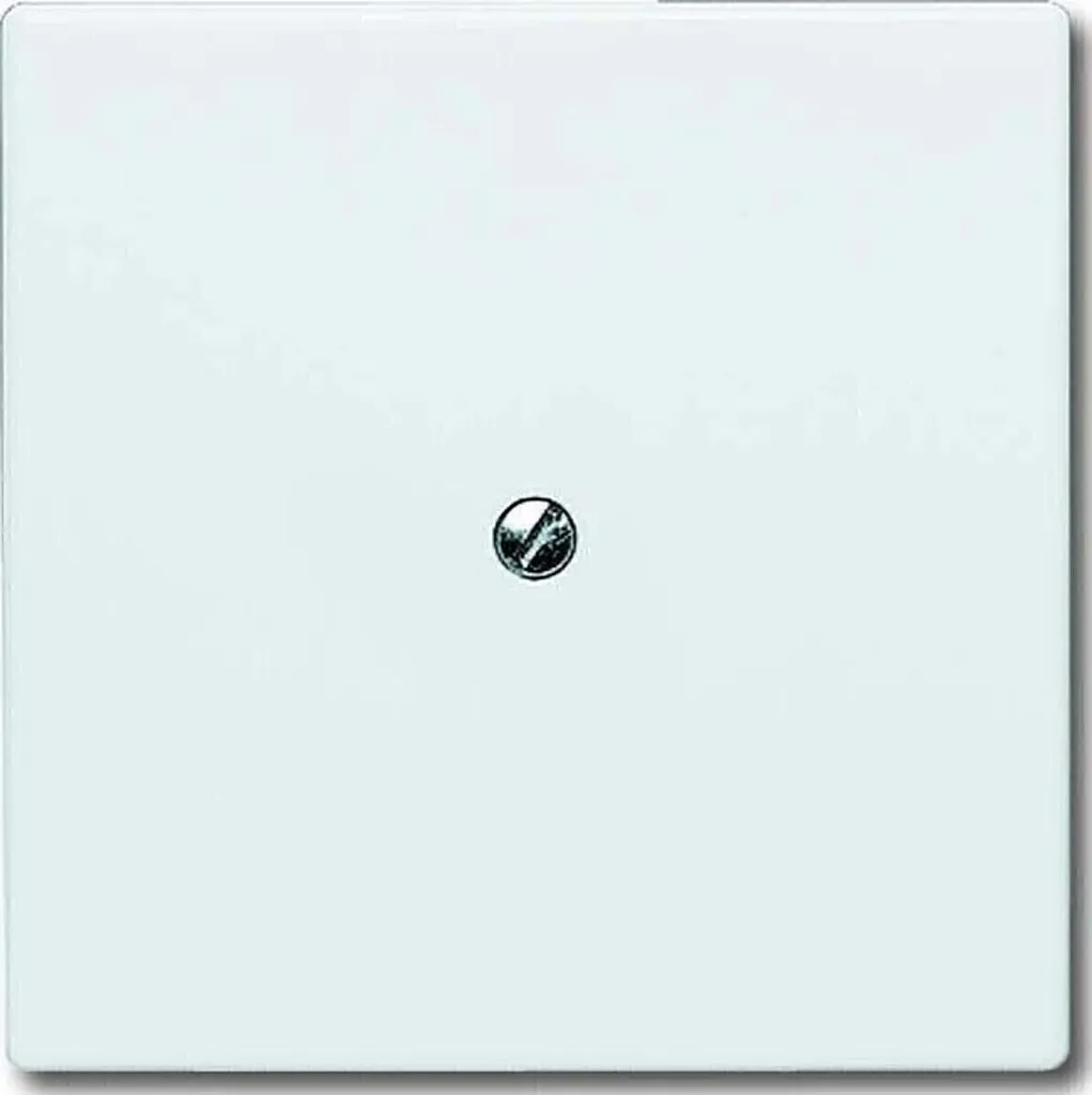 Busch-Jaeger 2138-34 Prise ALLW C-SCH avec Tragr-Blind - Blanc Studio