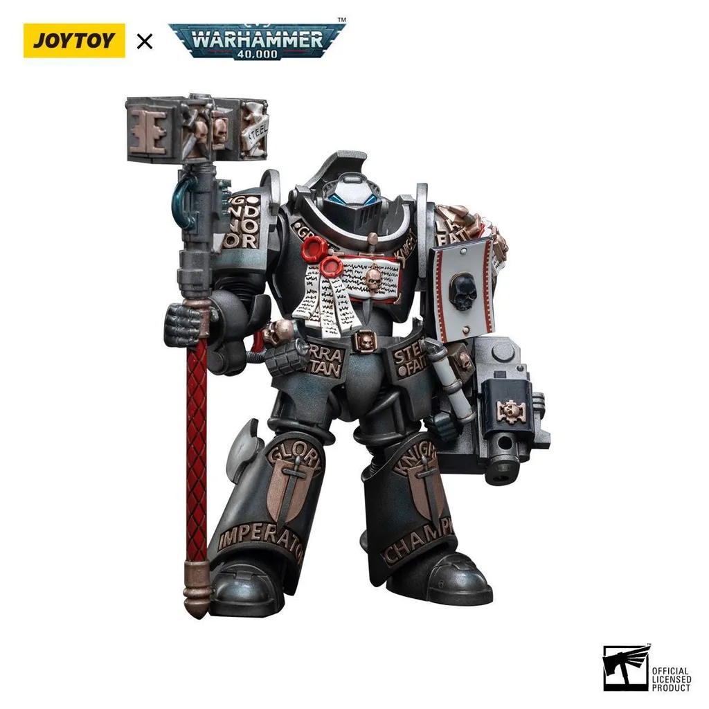 Grey Knights Terminator Caddon Vibova Joy Toy : Figurine 13cm 1/18