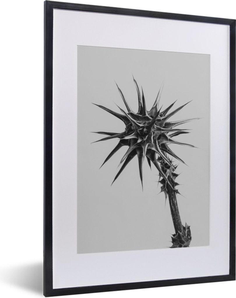 MuchoWow® MuchoWow® Gerahmtes Poster Pflanze mit Dornen in Produktbild 