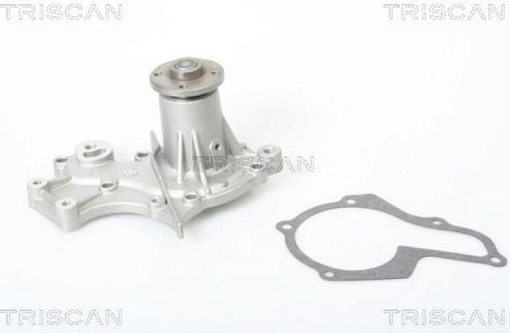 TRISCAN Wasserpumpe 8600 69002