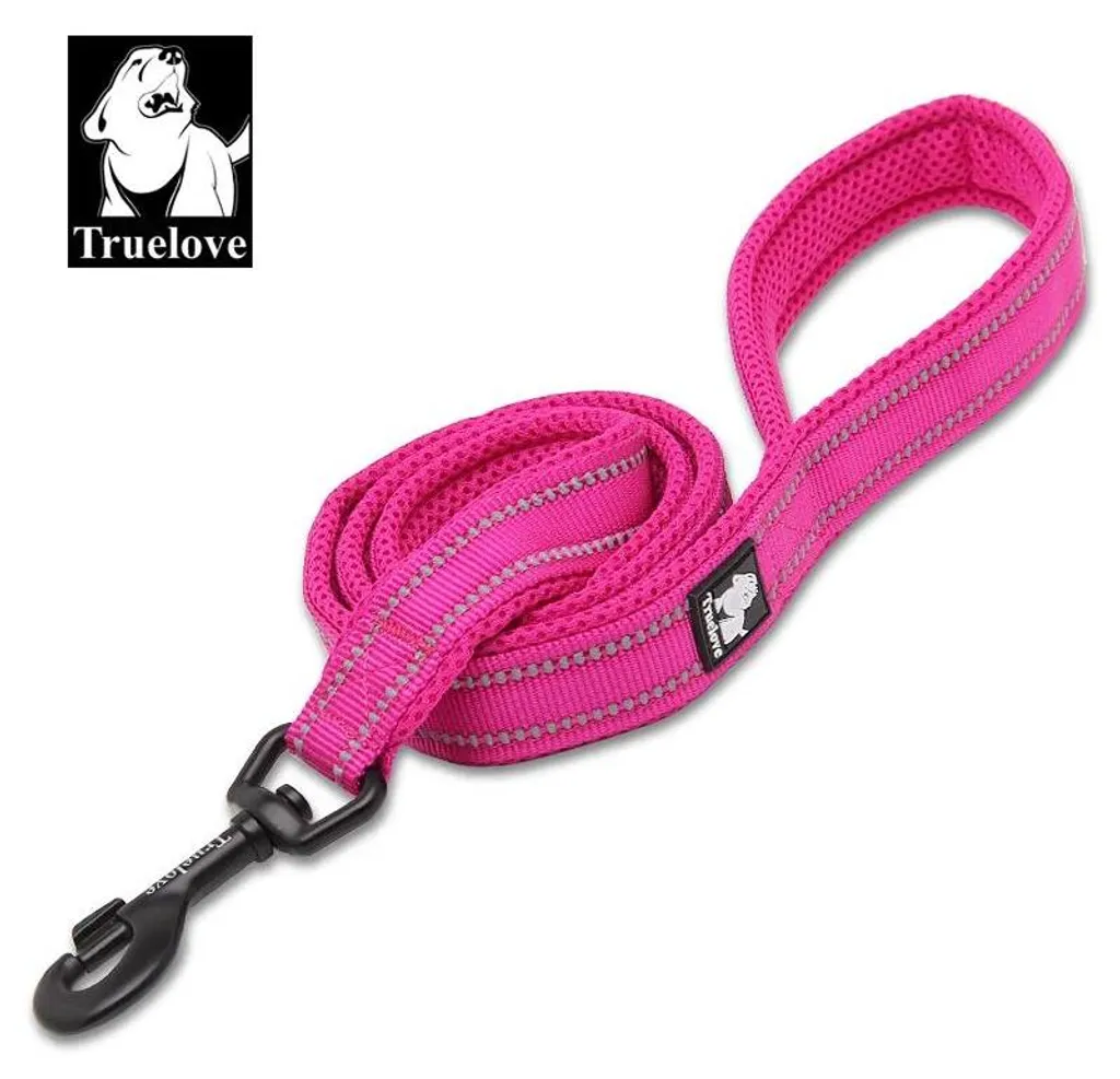 Laisse longue fuchsia pour grand chien en nylon robuste et poignée douce