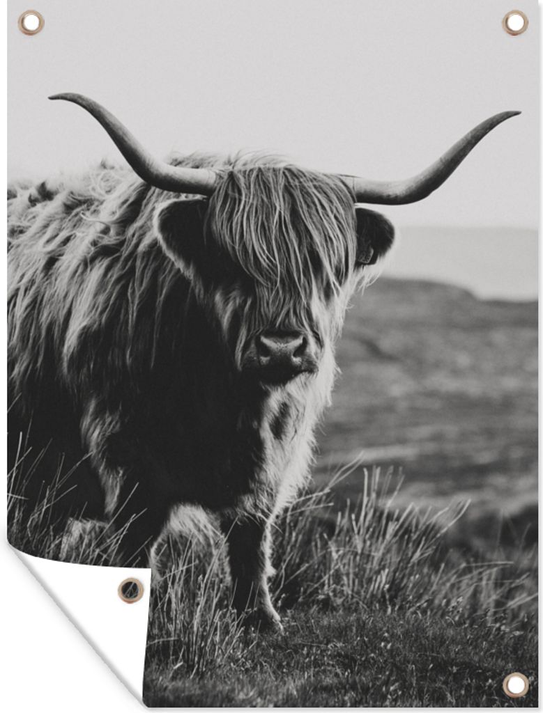 MuchoWow 90x120 cm Outdoor-Poster Gartendeko Sichtschutz Garten Poster für den Garten Schottische Hochlandbewohner - Natur - Kühe - Tiere - Sc...