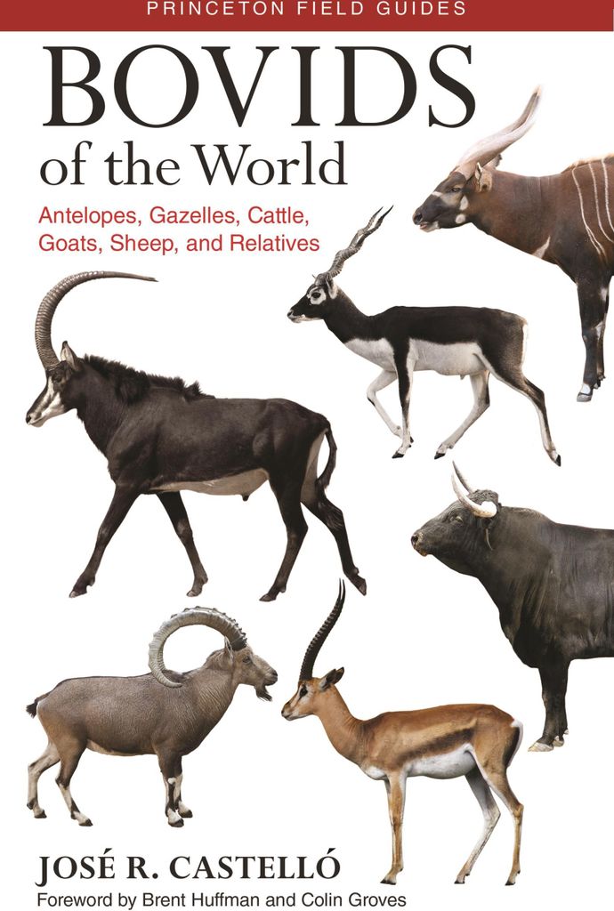 Bovids of the World