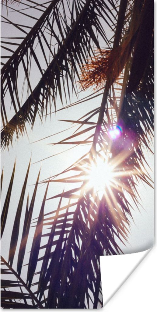 MuchoWow Poster Palmwedel - Sonne - Sommer 20x40 cm - Plakat - Foto