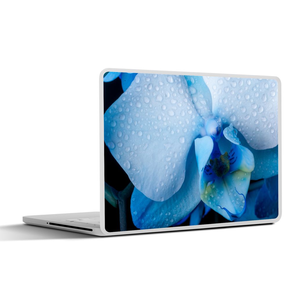 MuchoWow Laptop Aufkleber Sticker Cover Blumen - Blau - Wasser 31x22.5 cm - Laptop-Deko