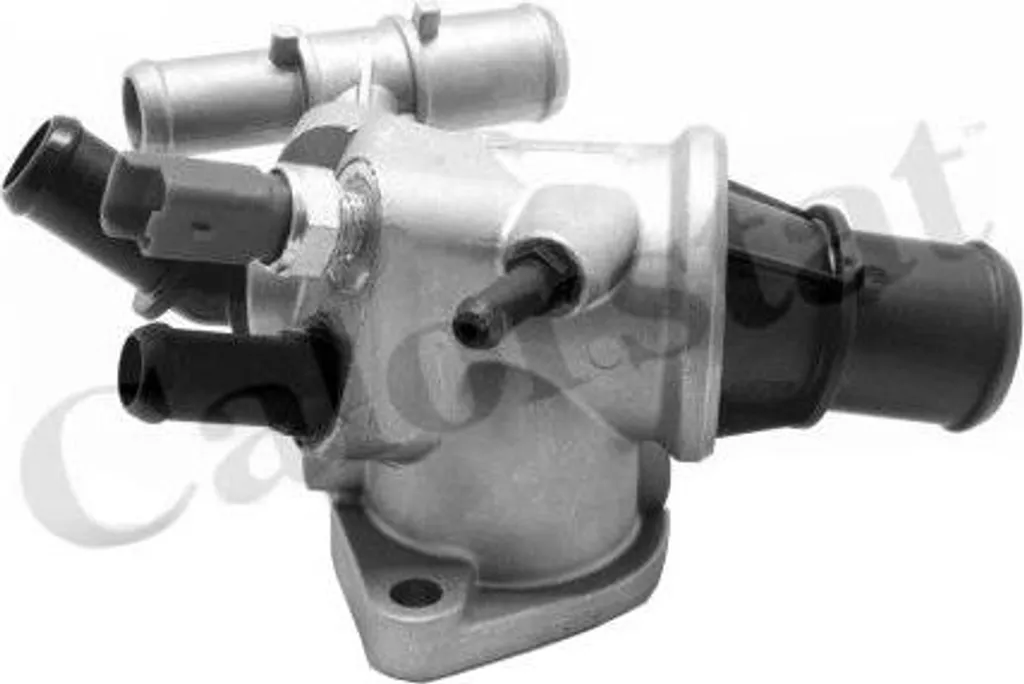 Fin des surchauffes moteur Doblo : Thermostat 88°C Vernet TH7175.88J