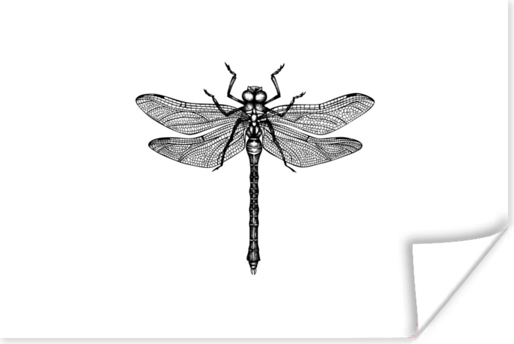 MuchoWow Poster Libelle - Insekten - Retro - Schwarz und weiß 60x40 cm - Schlafzimmerdekoration