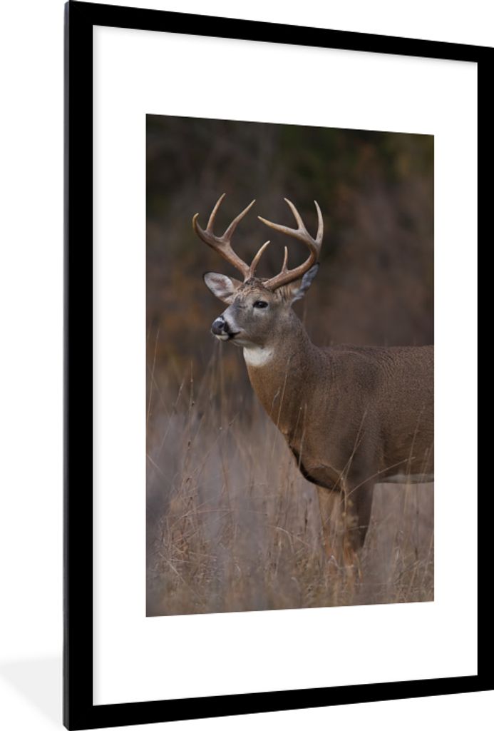 MuchoWow Gerahmtes Poster Herbst - Hirsche - Gras - Natur - Tiere 60x90 cm - Poster mit Schwarzem Bilderrahmen Wandposter Rahmen Foto Bilder - De...