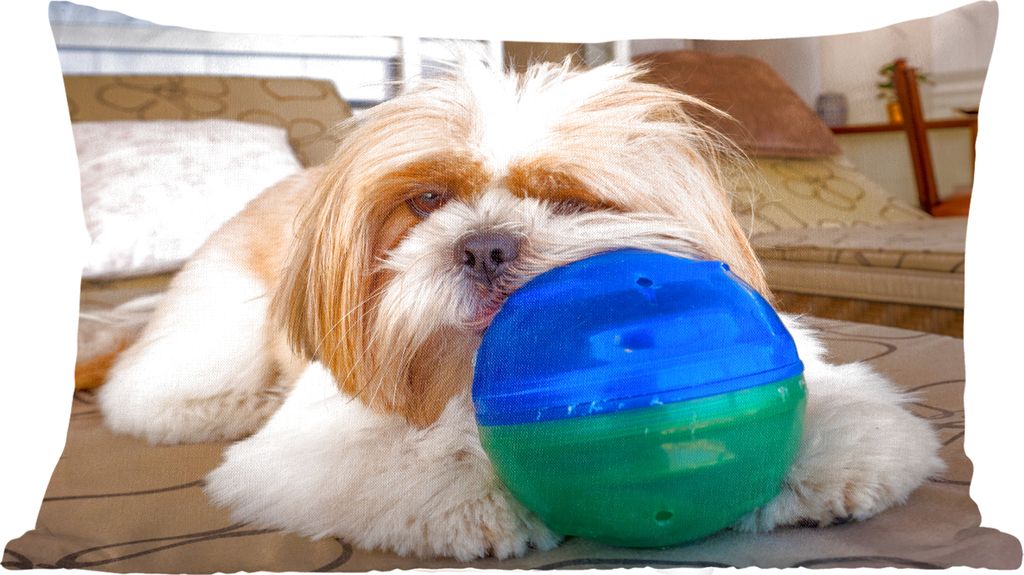 MuchoWow Zierkissen Sofakissen Wohnzimmer Dekokissen 50x30 cm Ein Shih Tzu Hund spielt mit einem Ball - Wohnzimmerdekoration - Polster mit Photo
