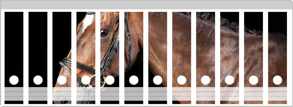 Wallario Ordnerrücken Sticker, selbstklebend für breite Ordner, 12 Stück, Motiv Herausgeputztes Pferd mit Geschirr