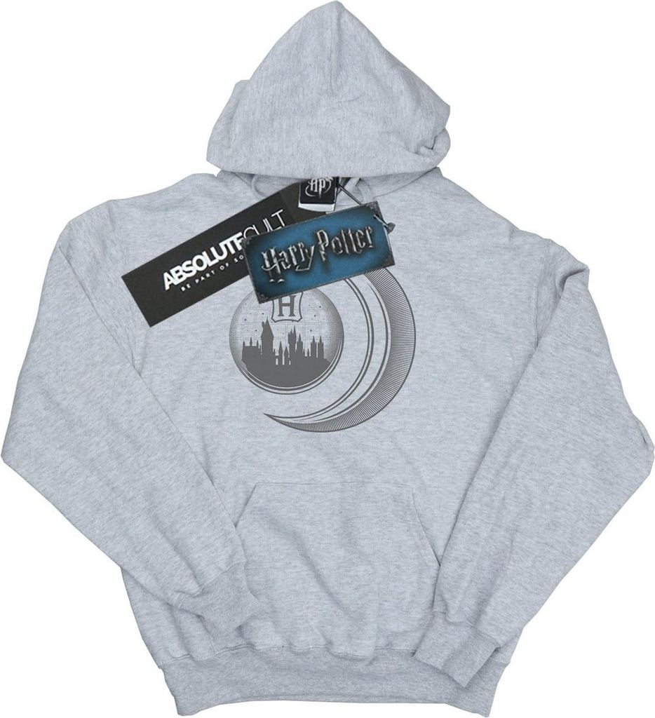 Harry Potter - "Hogwarts" Kapuzenpullover für Herren BI11718 (S) (Grau)