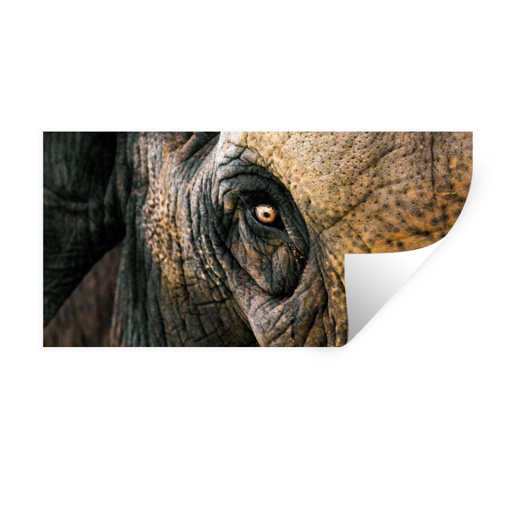 MuchoWow Wandtattoo Wandsticker Wandaufkleber Elefant - Nahaufnahme - Tiere - Natur 120x60 cm Selbstklebend und Repositionierbar - Sticker - Deko...