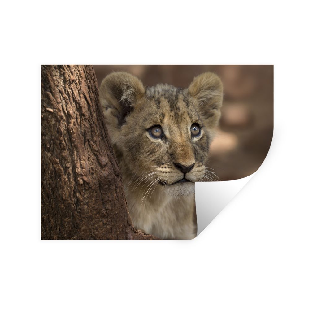 MuchoWow Wandtattoo Wandsticker Wandaufkleber Löwe - Baum - Wilde Tiere 40x30 cm Selbstklebend und Repositionierbar - Faltenfrei