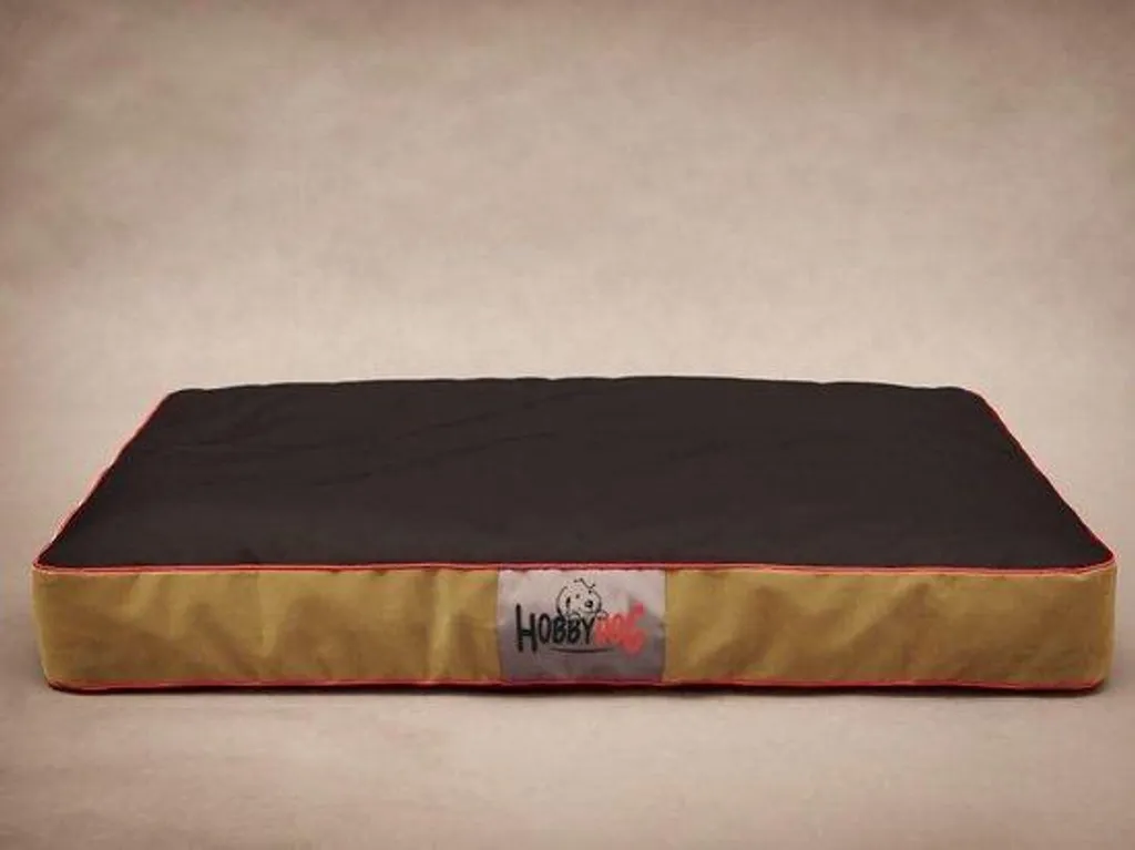 Lit pour chien contre les sols froids noir 70x50x12 cm, confort garanti