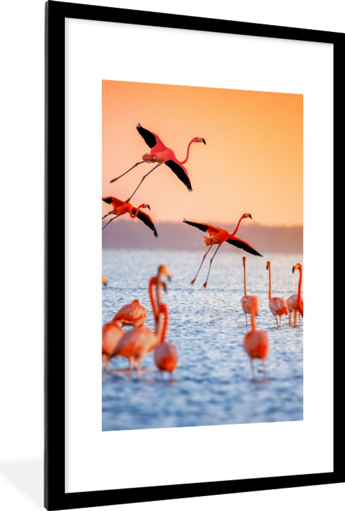 MuchoWow Gerahmtes Poster Vogel - Flamingo - Wasser - Sonnenuntergang - Rosa 60x90 cm - Poster mit Schwarzem Bilderrahmen Wandposter Rahmen Foto ...