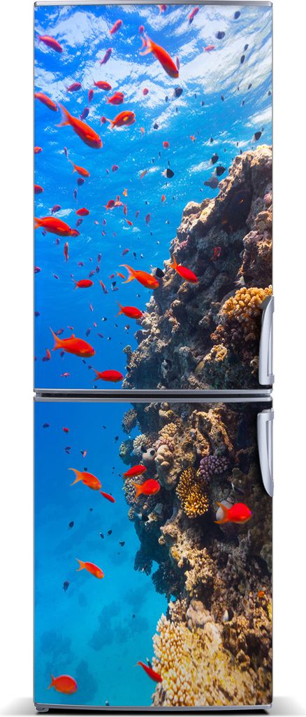 Tulup Kühlschrankdekoration - Magnetmatte - 70 cm x 190 cm - Magnet auf dem Kühlschrank - Korallenriff