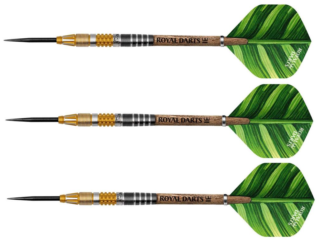 Royal Darts Steeldartpfeile Green Line 21 Gramm NT95 Präzision