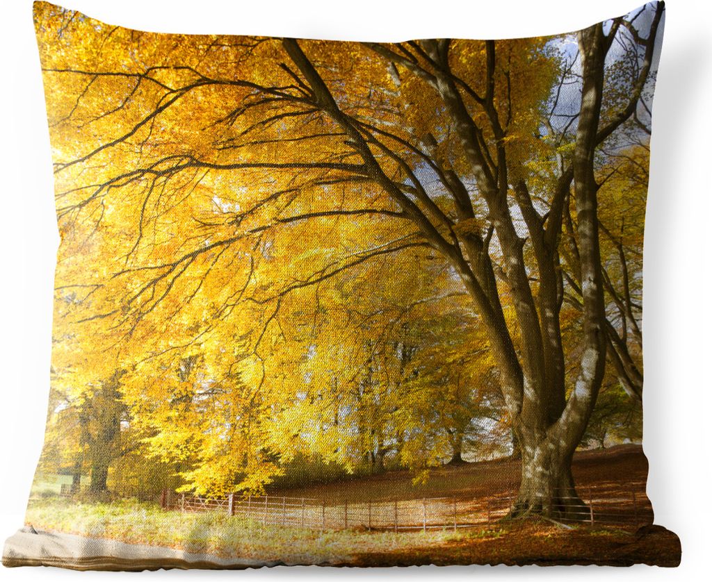 MuchoWow Outdoor Kissen - Gelbe Blätter in den Wäldern des englischen New Forest National Park - 45x45 cm - Wetterfest - Lounge Kissen - Fotoki...