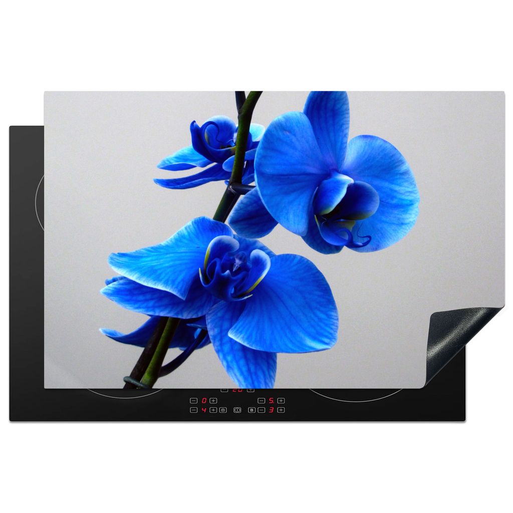 KitchenYeah Herdabdeckplatte Blaue Orchidee , 80x52cm, Küche Deko, Glaskeramikfeld Herdabdeckung, Abdeckplatte fùr Kochfeld