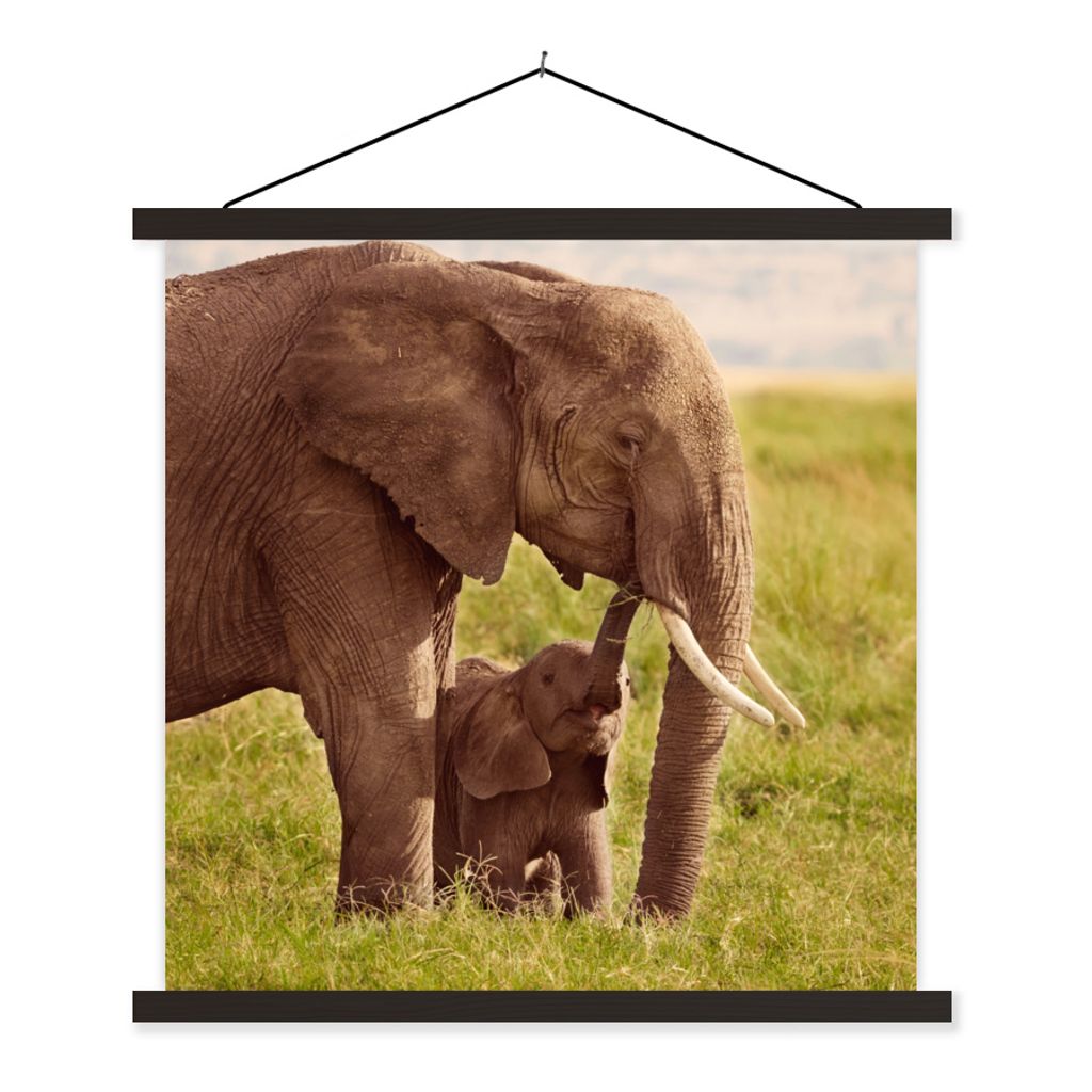 MuchoWow Textilposter Elefant - Gras - Jung - Rüssel 40x40 cm mit schwarzem Rahmen - Fotos
