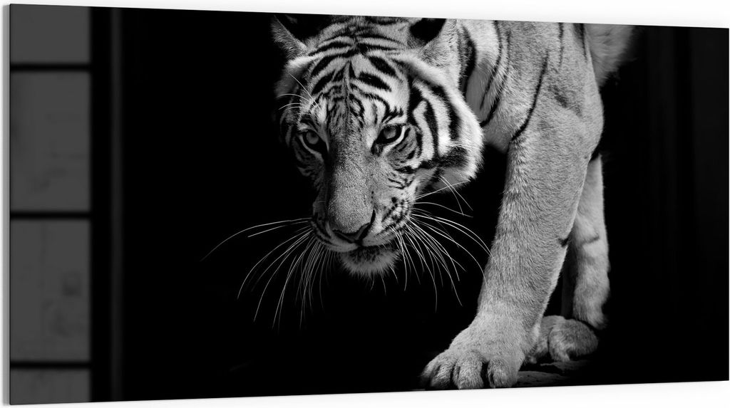 DEQORI Glasbild Echtglas 100x50 cm 'Pirschender Tiger' Wandbild Bild modern Deko