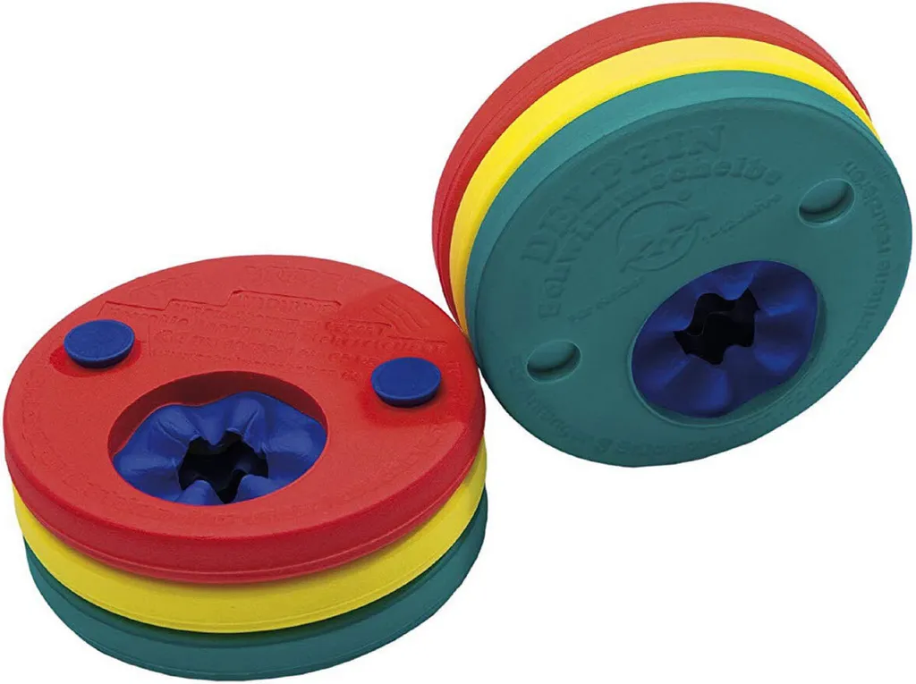 Fashy Disques Flottants Delphin Universels pour Apprentissage de Natation