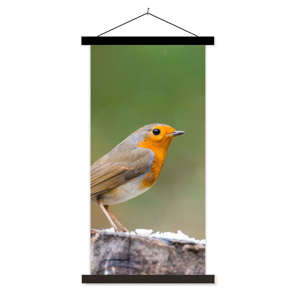 MuchoWow Textilposter Tiere - Vogel - Rotkehlchen 40x80 cm mit schwarzem Rahmen - Wandemalerei