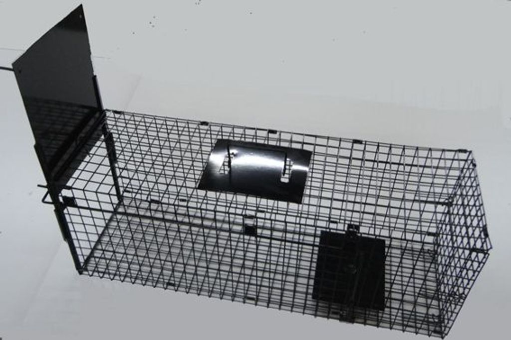 Campo24 Marderfalle Kastenfalle Lebendfalle Drahtkasten – 80x25x30cm,Schutzgriff, Trittklappe – optimal für Marder, Ratten, Siebenschläfer, W...