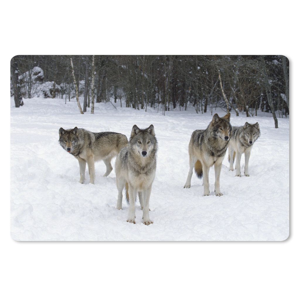 MuchoWow Schreibtischunterlage Wolf - Schnee - Kanada 60x40 cm - XXL Mauspad - Großes Mauspad