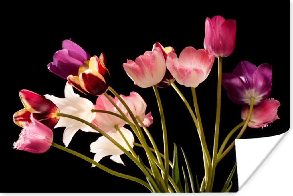 MuchoWow Poster Stillleben - Tulpen - Farben 180x120 cm - Fotoplakat