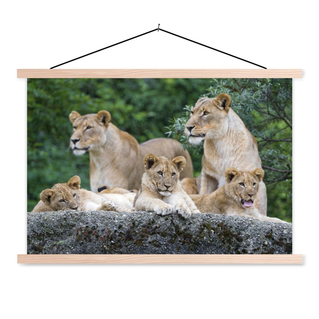 MuchoWow Textilposter Löwen - Tiere - Jungtiere 120x80 cm mit holzfarbenen Rahmen - Aufhängeset