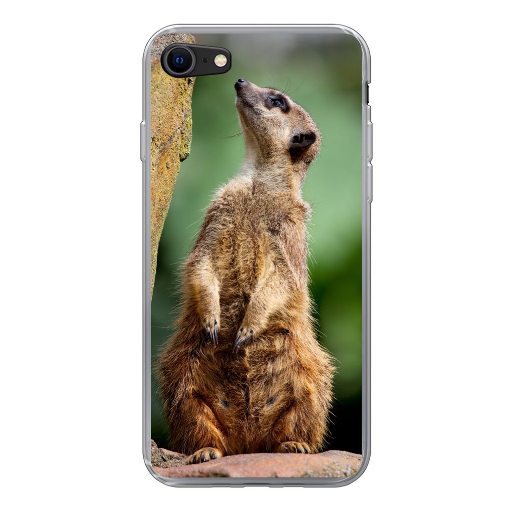MuchoWow Handyhülle Schutzhülle Hülle für iPhone 8 Erdmännchen - Tier - Rock Silikon Softcase Handy Hülle - Schutzhaube