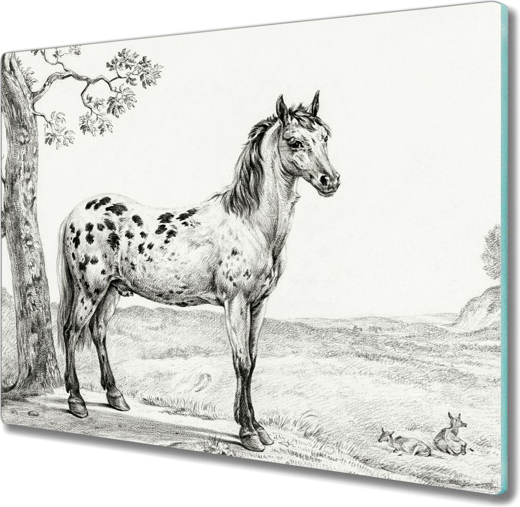 Coloray Hackbrett Küchenbrett Kochplattenabdeckung Schneidebrett Herdabdeckplatte 60x52 cm - Tiere Pferd