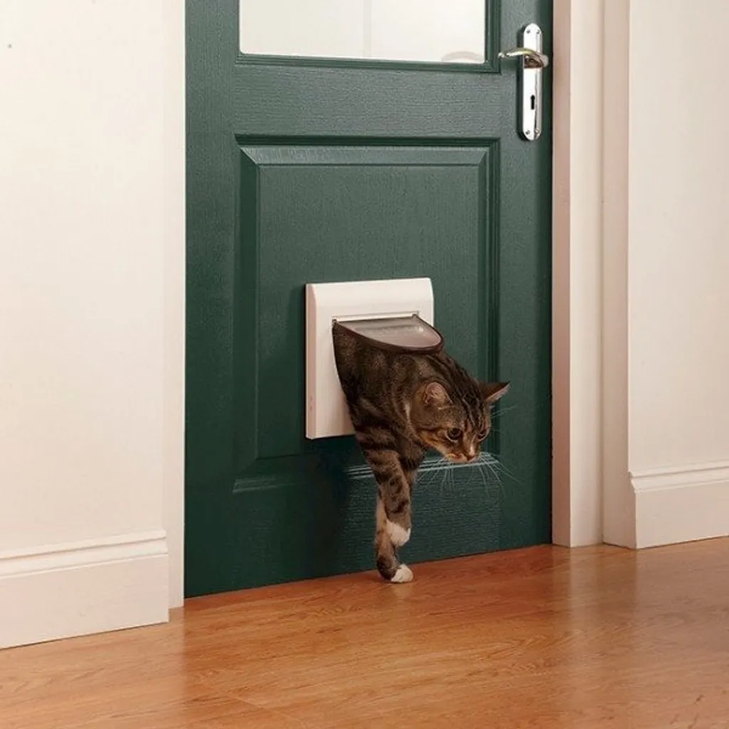 PetSafe 917 Gattaiola Economica 4 Vie: Il Miglior Rapporto Qualità/Prezzo - 4