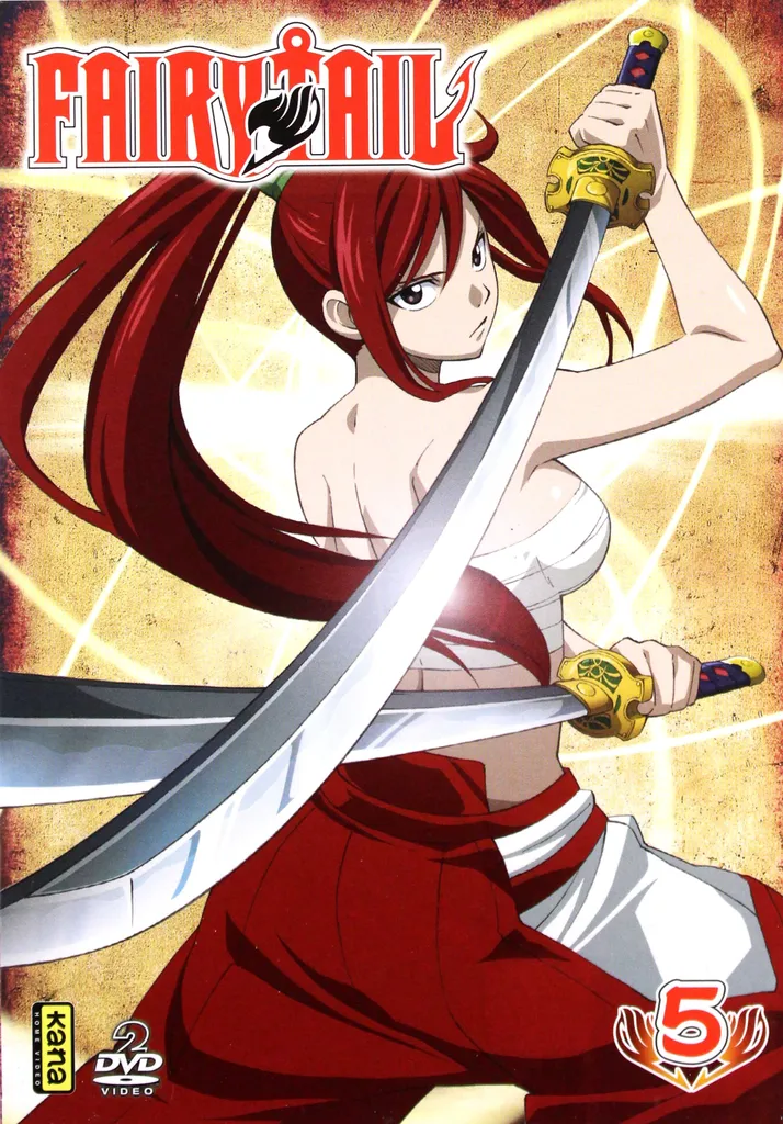 Fairy Tail en VO Originale 2 DVD - Enfin la Version Japonaise Intégrale