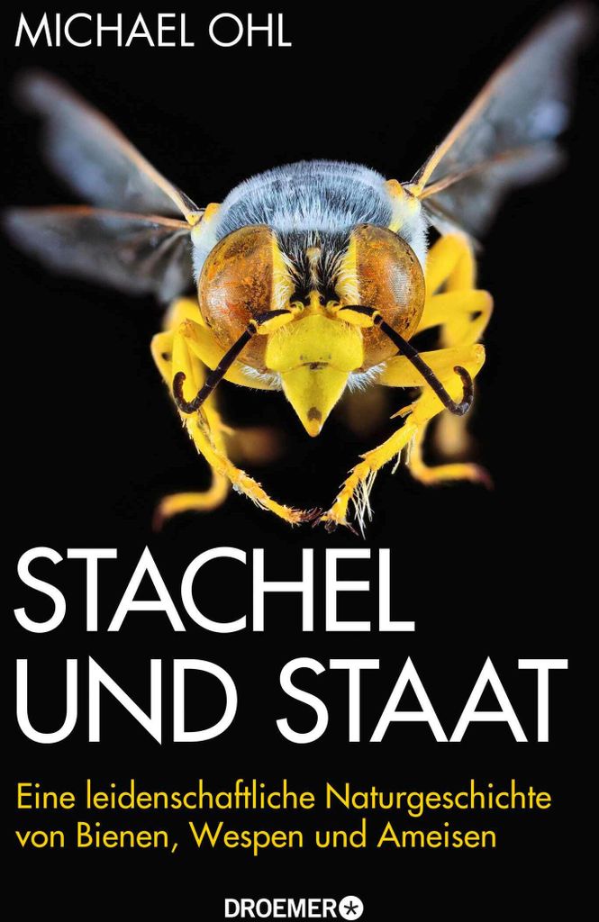 Stachel und Staat