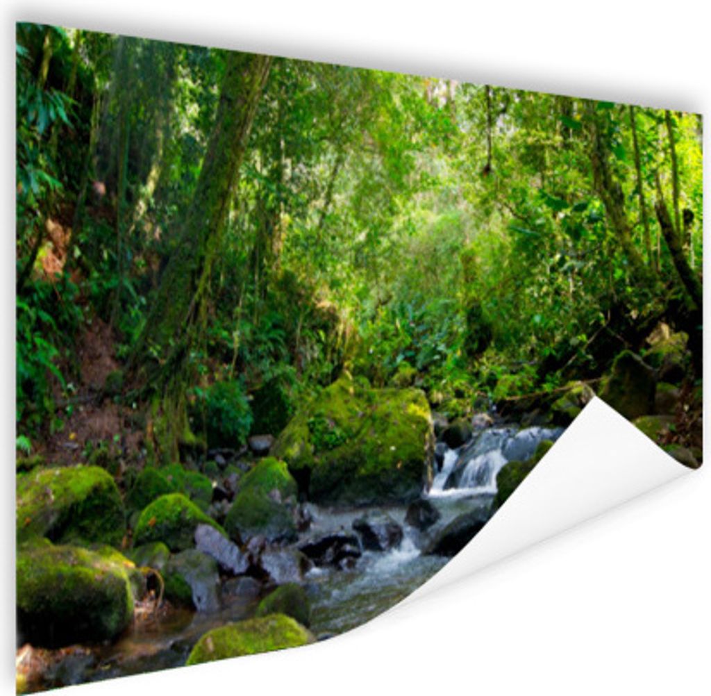 MuchoWow Poster Rainforest Creek 90x60 cm - Schlafzimmer