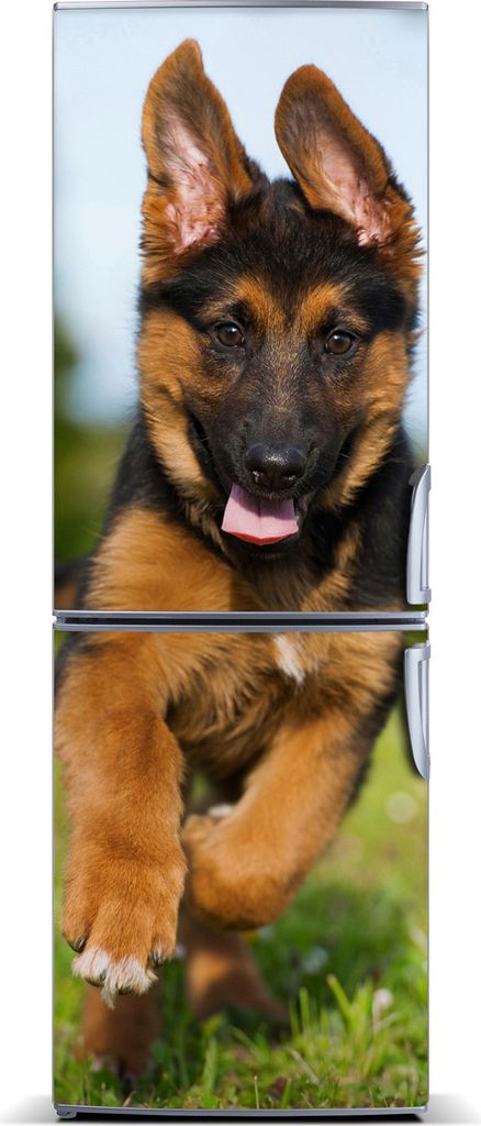Tulup Kühlschrankdekoration - Magnetmatte - 70 cm x 190 cm - Magnet auf dem Kühlschrank - Deutsch Shepherd