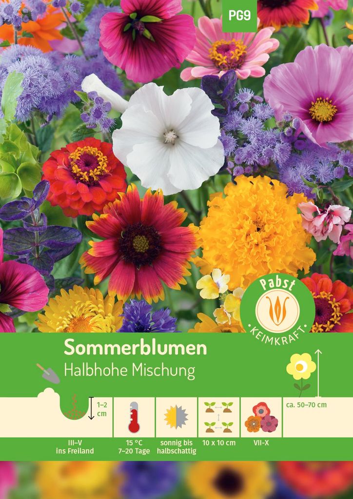 Sommerblumen Halbhohe Mischung | Blumensamenmischung von Produktbild 