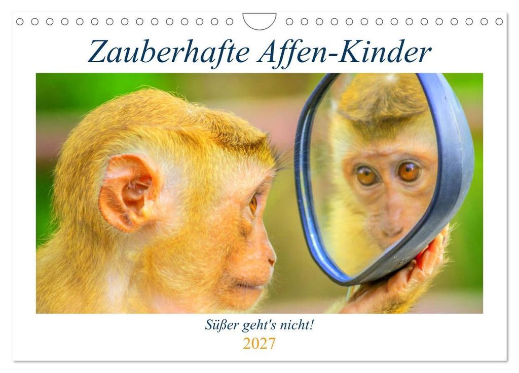 Zauberhafte Affenkinder. Süßer geht ́s nicht! (Wandkalender 2027 DIN A4 quer), CALVENDO Monatskalender