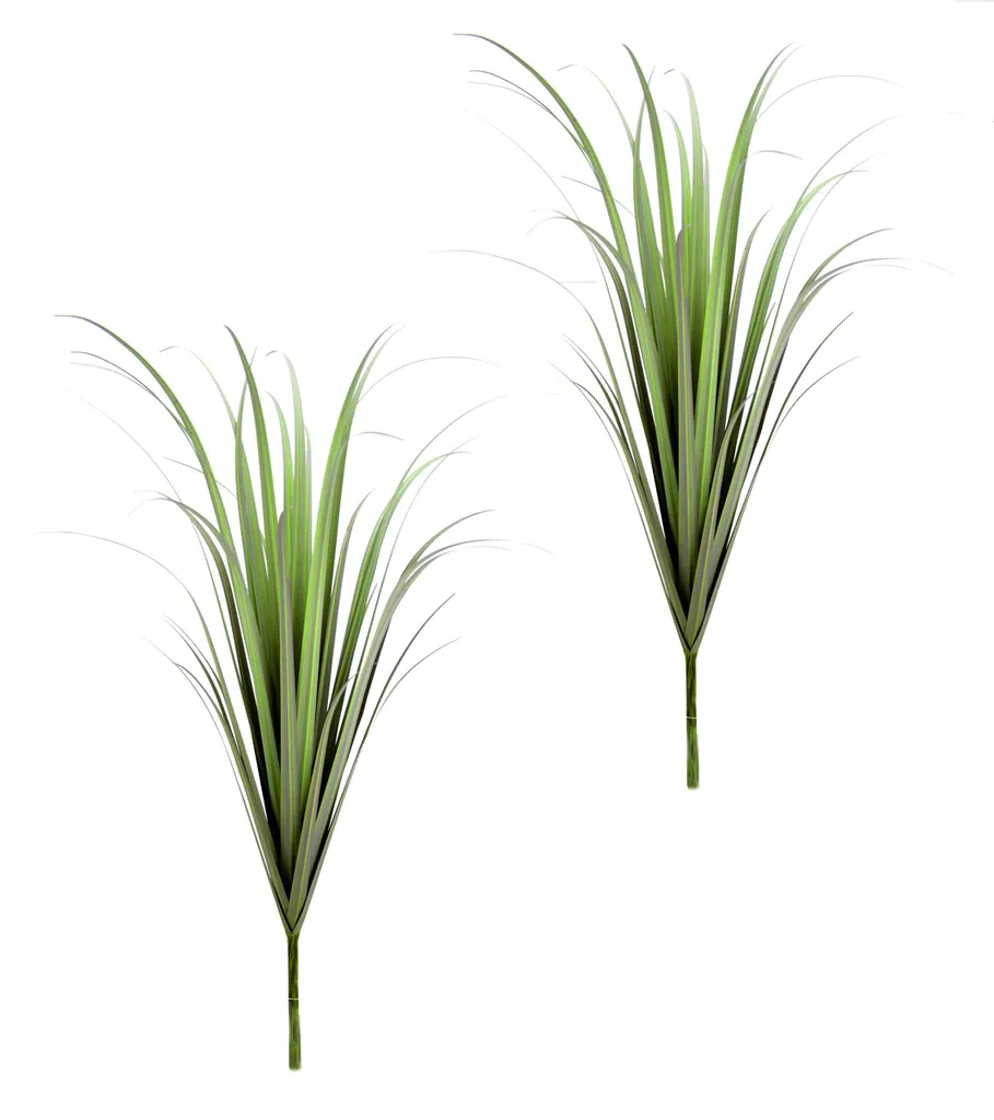 Duo de brosses à herbe avec poils en acier pour nettoyage de fentes