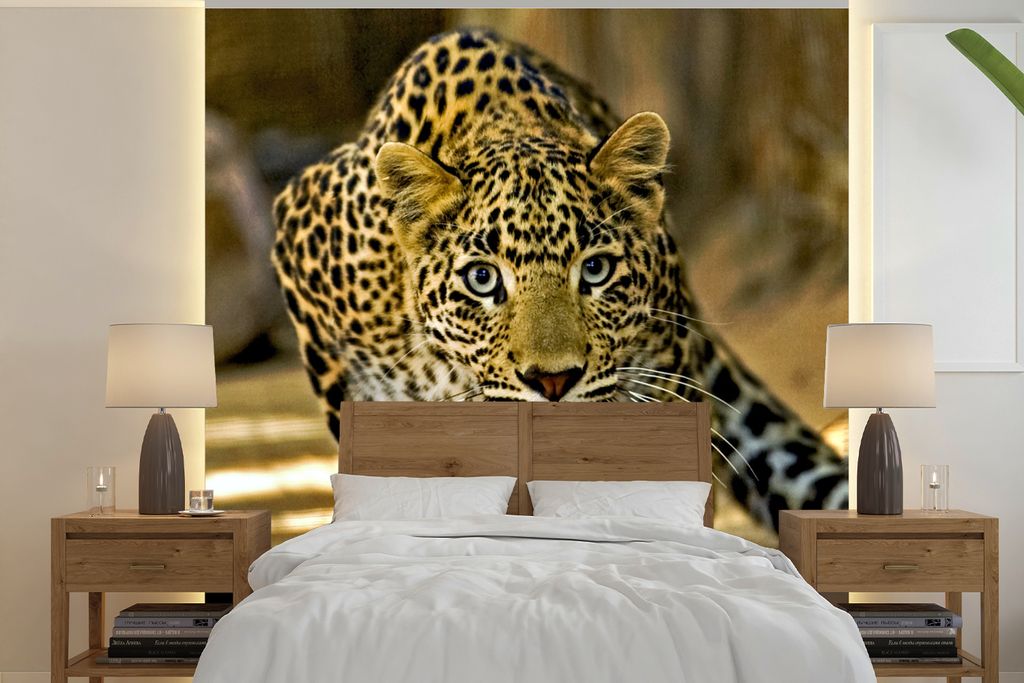 MuchoWow Fototapete für Wohnzimmer oder Schlafzimmer Wandtapete Vinyl Motivtapete Leopard - Raubtier - Porträt - 280x280 cm - Hintergrundbild