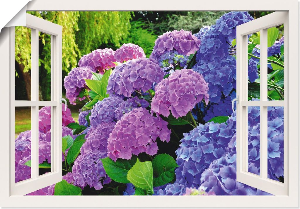ARTland Poster fensterblick Hortensien im Garten Größe: 130x90 cm